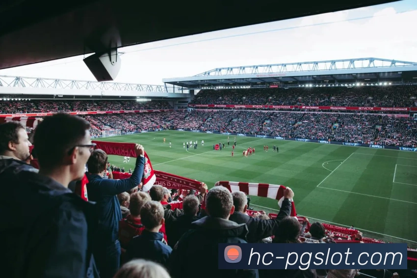 赏金女王PG官网平台生态图