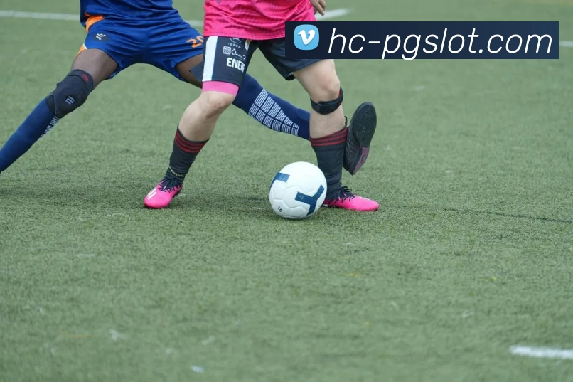 赏金女王PG官网APP 封面图